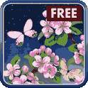 Free Sakura Live Wallpaper