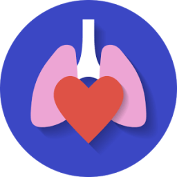 EMS Pulse Timer icon