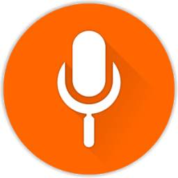 Voice Search UX