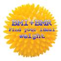 BMI + BMR diet calculator