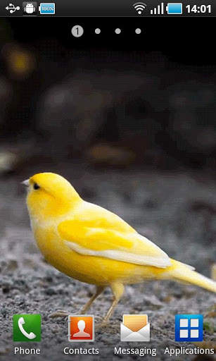 Yellow Bird screenshot 2