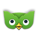 Duolingo Widget أيقونة