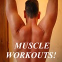 Muscle Workouts! icon