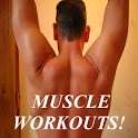 Muscle Workouts! on 9Apps