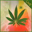 Weed Ganja Live Wallpaper on 9Apps