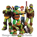 Teenagee Mutant Ninja Turtles! icon