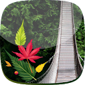 Forest Live Wallpaper icon