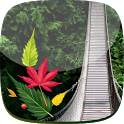 Forest Live Wallpaper 1.0