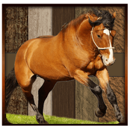 Horse Racing 3D 2016 आइकन