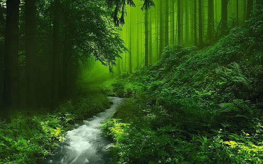 Green Forest 1 تصوير الشاشة