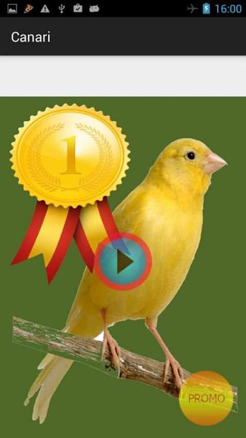 Winner Canary screenshot 2
