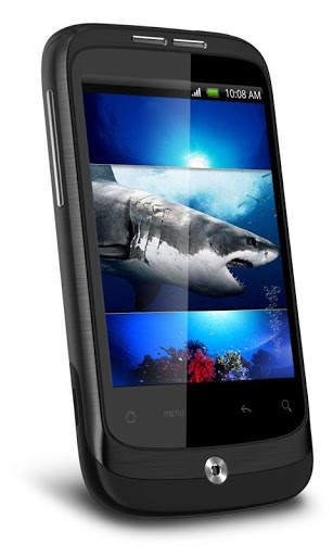 Hungry Shark HD Live Wallpaper screenshot 1