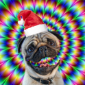 Christmas talking dog icon
