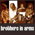 brothers in arms - a tribute t