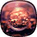 Bubbles Live Wallpaper 1.1