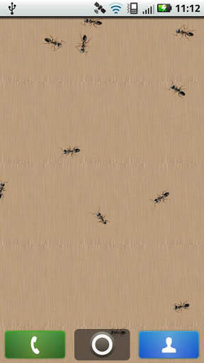 Ants Live Wallpaper 1 تصوير الشاشة