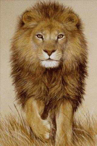 King Lion Live Wallpaper screenshot 1