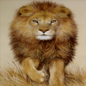 King Lion Live Wallpaper icon