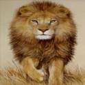 King Lion Live Wallpaper 1.0