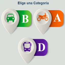 Test de Conducir иконка