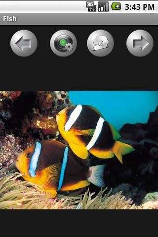 FishWallpapers screenshot 1