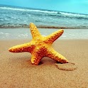 iPhone Sea Beach Wallpaper icon