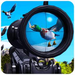 Wild Duck Hunting 1.1
