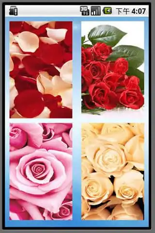 Rose Lock स्क्रीनशॉट 3