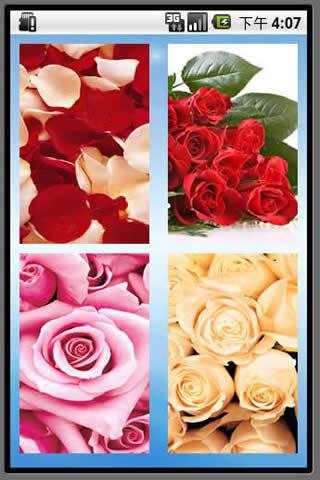 Rose Lock screenshot 3