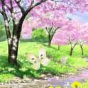 Spring Day Live Wallpaper on 9Apps