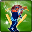 Cricket Fever 2014 icon