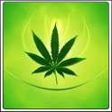 Weed Battery Widget HD 1.1