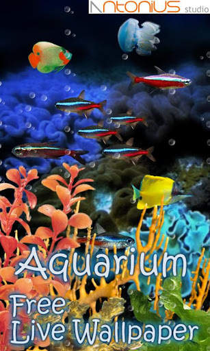 Aquarium Neon Fish Free LWP 1 تصوير الشاشة