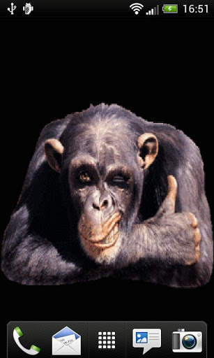 Yes Monkey screenshot 2