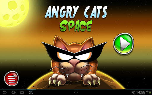 GDC 13 - Angry Cats Space screenshot 1
