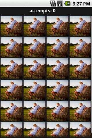 Gallery Memory Game lite screenshot 4