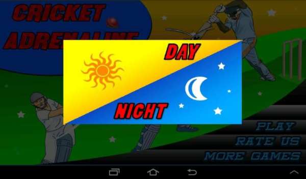 T20 Cricket Blast 2014 स्क्रीनशॉट 3