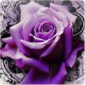 3D Roses on 9Apps