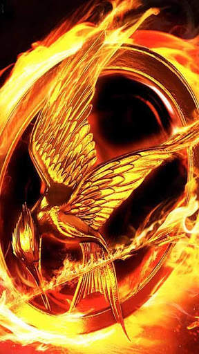The Hunger Games Catching Fire screenshot 5