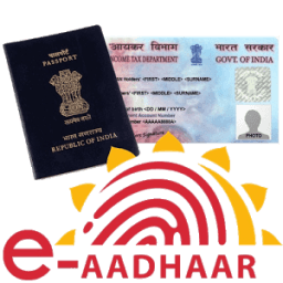 e-Aadhaar,Passport, PAN Card आइकन