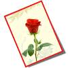 Greeting Cards Gallery