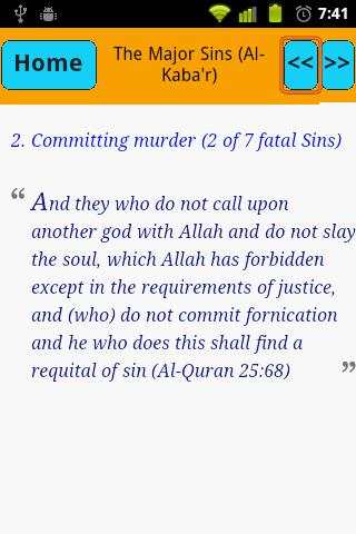 Major Sins In Islam screenshot 3