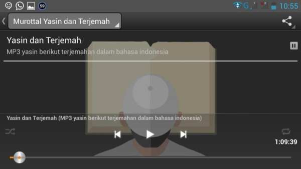 Yasin MP3 dan Terjemahan screenshot 1
