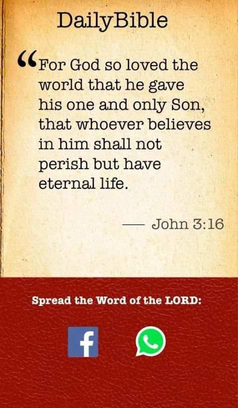 Daily Bible - Catholic Edition screenshot 2