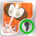 FruitLocker icon