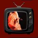Shakira Videos 3.0