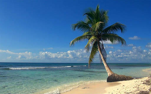 Relaxing music &amp; sounds screenshot 4