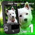 Funny Dogs HD 1.0.2