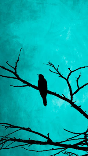 Good Luck Wallpapers स्क्रीनशॉट 3