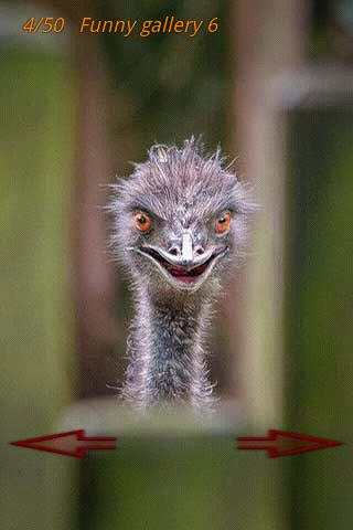 Funny Pics LOL Photo screenshot 5